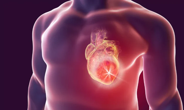 Heart