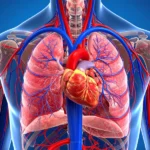 Heart Health