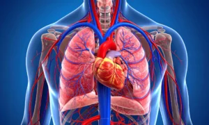Heart Health